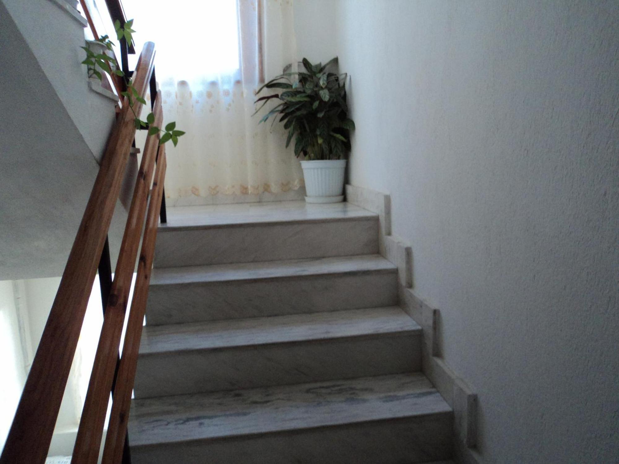Guest House Drazhev オブゾー エクステリア 写真